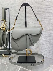 Dior Saddle Bag