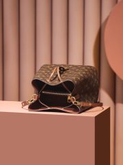 LV 𝐍É𝐎𝐍𝐎É Bucket Bag - Image 10