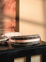 LV 𝐂𝐑𝐎𝐈𝐒𝐒𝐀𝐍𝐓 BAG - Image 8