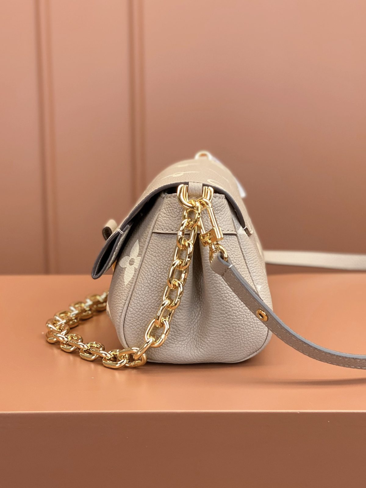 LV FAVORITE Bag - Image 4