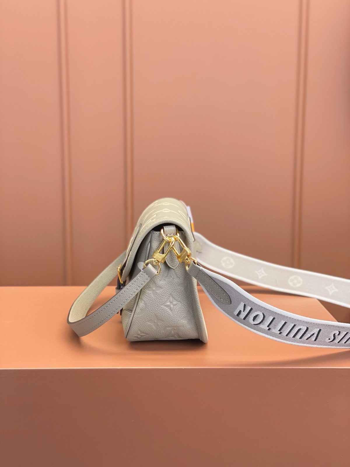 LV Diane Bag - Image 6