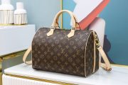 LV Speedy Bag - Image 4