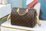 LV Speedy Bag - Image 8