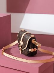 LV 𝐒𝐀𝐔𝐌𝐔𝐑 𝐁𝐁 BAG - Image 10
