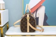LV Speedy Bag - Image 4