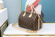 LV Speedy Bag - Image 6