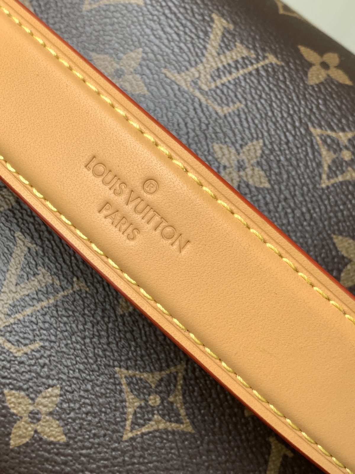LV Cruise Bag - Image 7