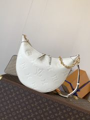 LV Loop Hobo Bag