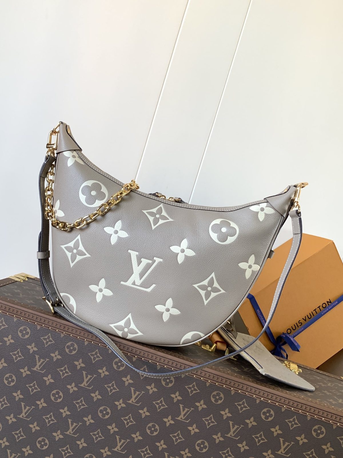 LV Loop Hobo Bag - Image 3