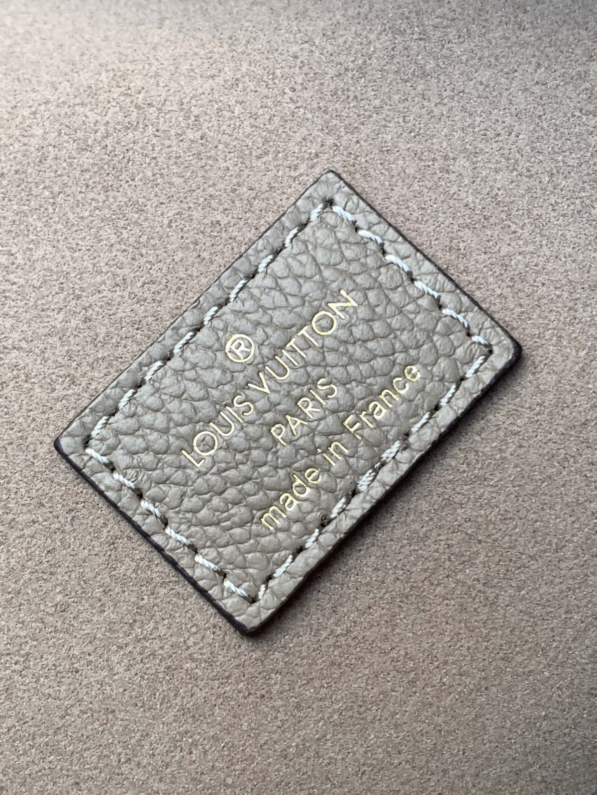 LV Loop Hobo Bag - Image 9