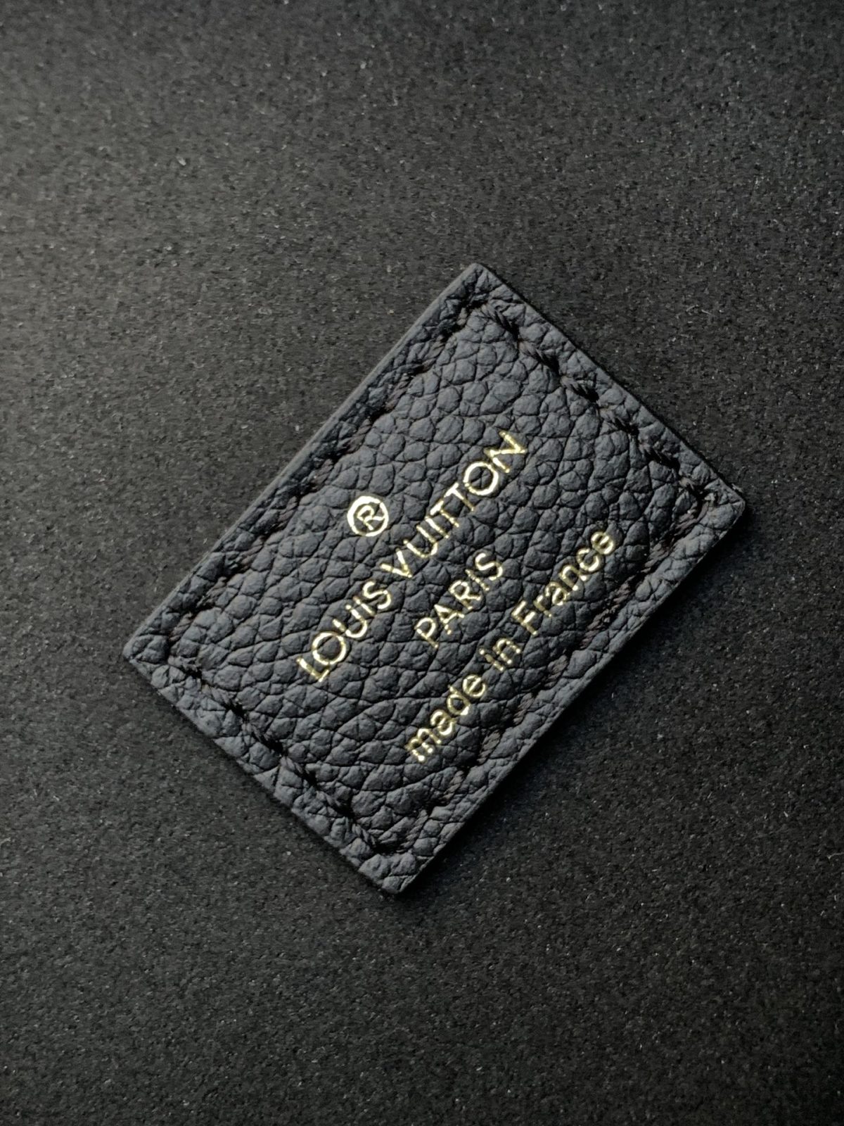 LV Loop Hobo Bag - Image 9