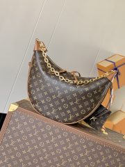 LV Loop Hobo Bag