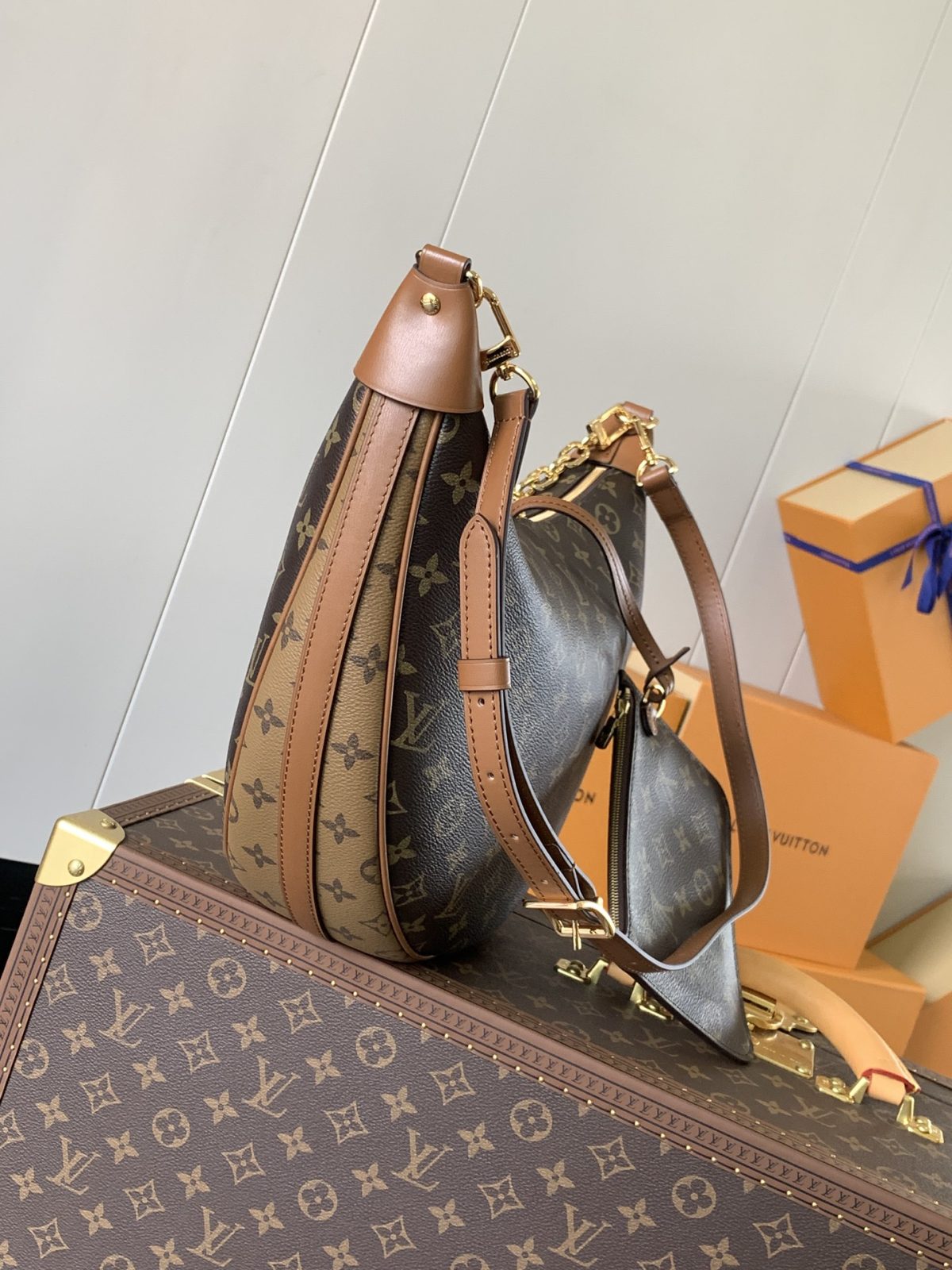 LV Loop Hobo Bag - Image 4