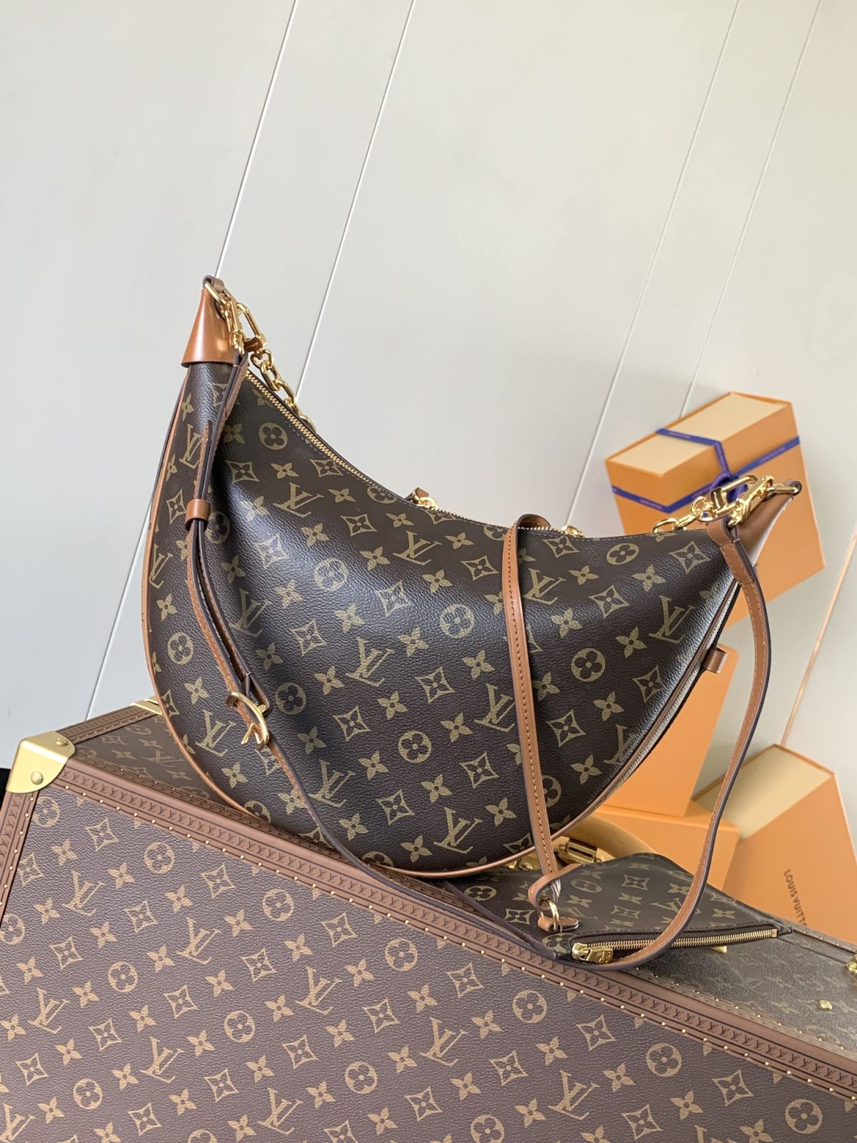 LV Loop Hobo Bag - Image 2