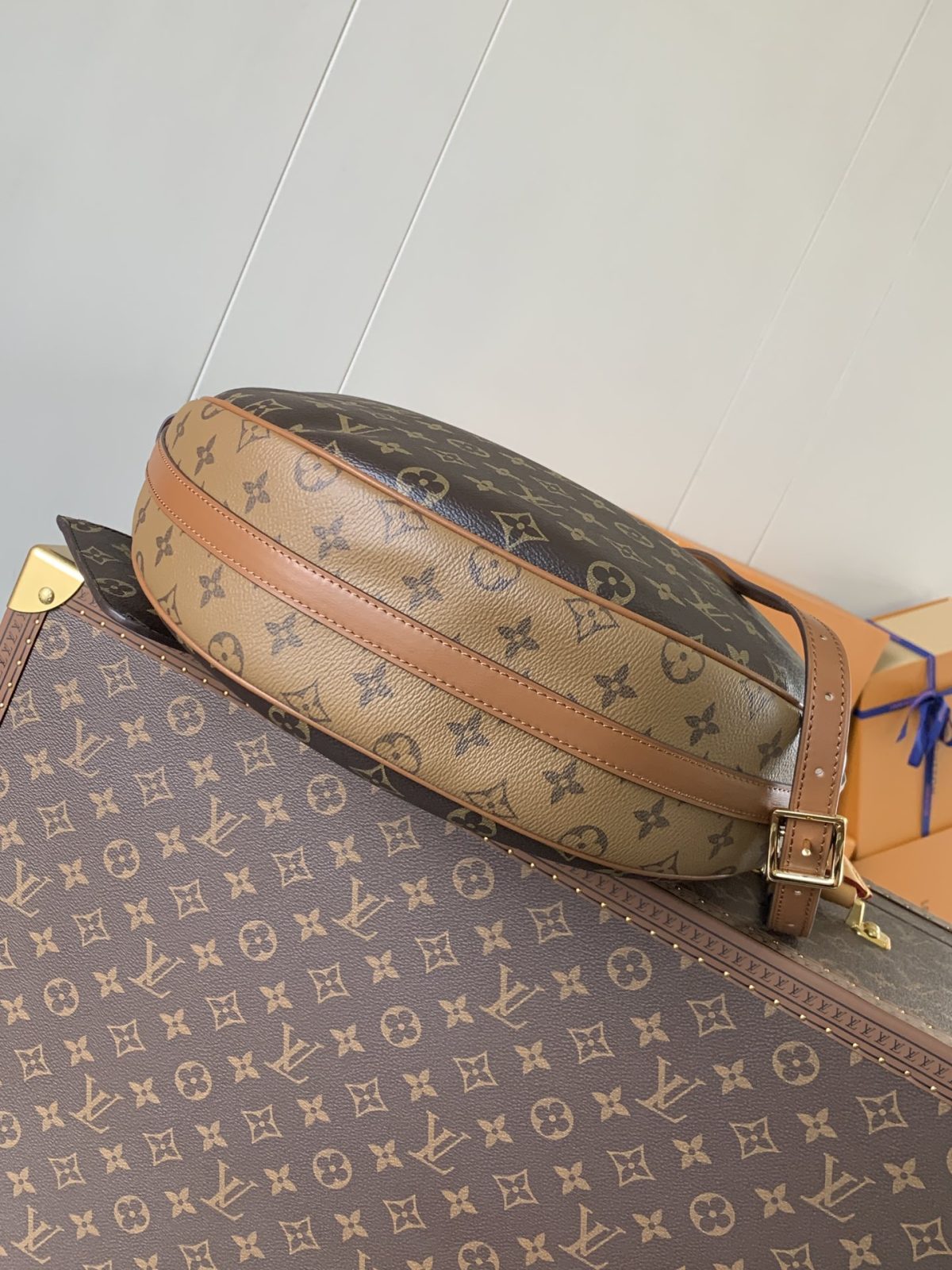 LV Loop Hobo Bag - Image 3