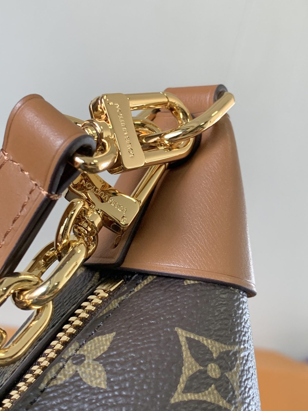 LV Loop Hobo Bag - Image 5
