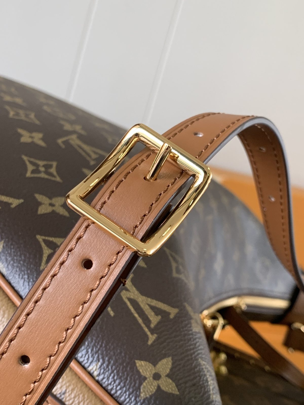LV Loop Hobo Bag - Image 7
