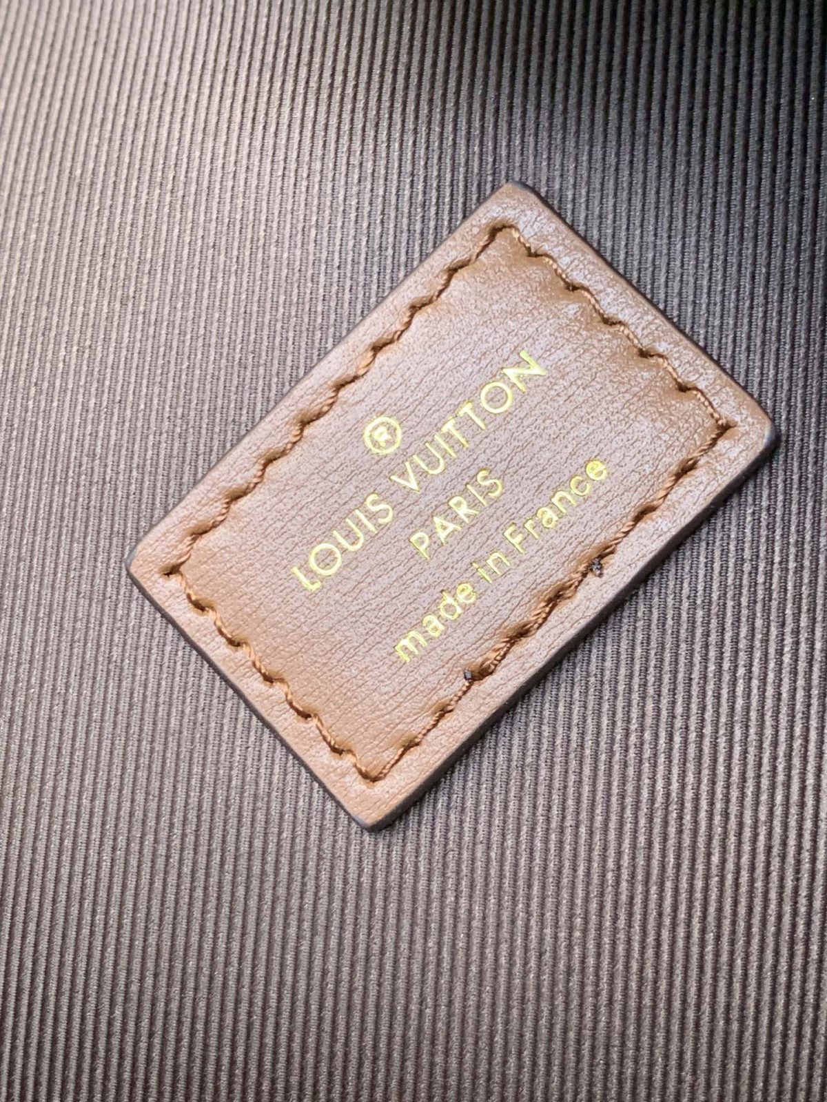 LV Loop Hobo Bag - Image 9