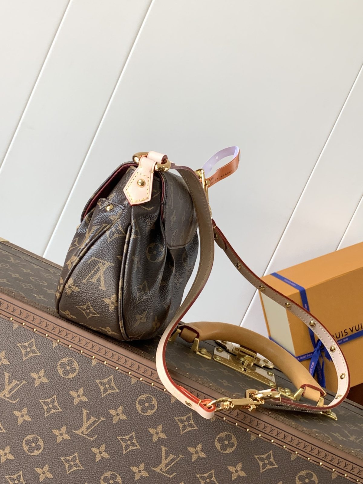 LV Sunset Vibe Bag - Image 3
