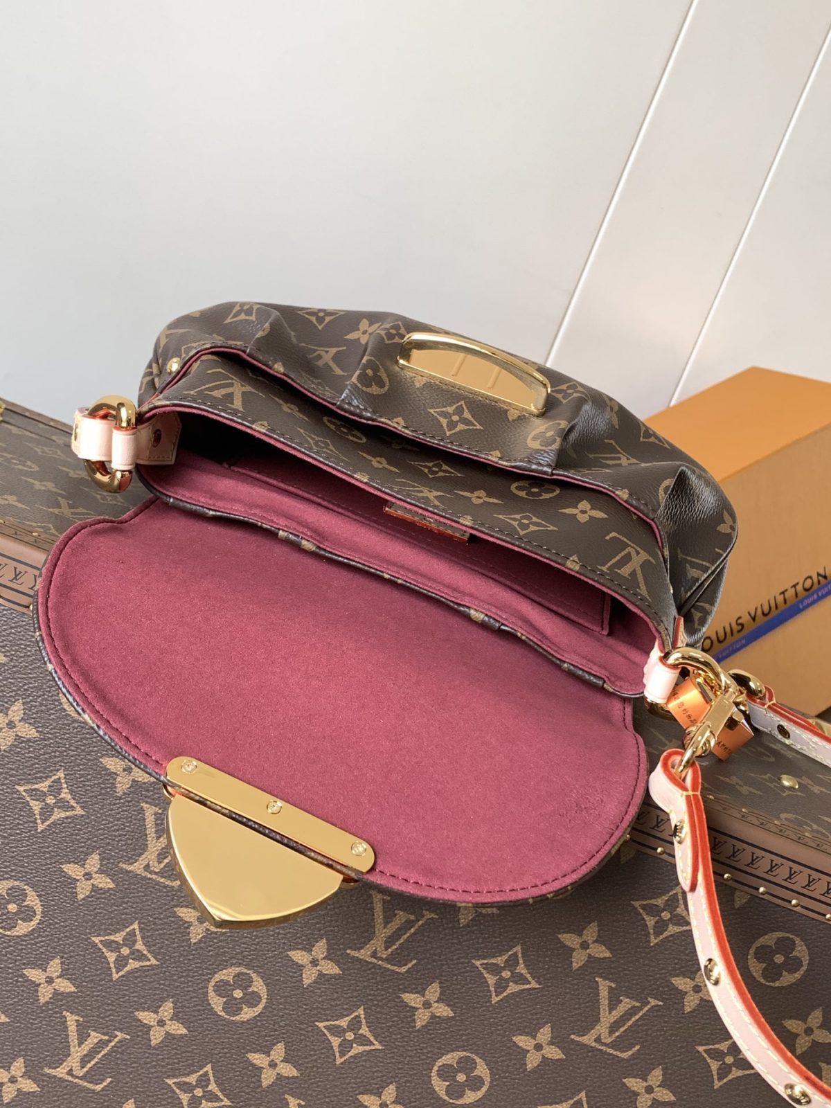 LV Sunset Vibe Bag - Image 8