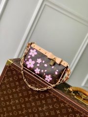 LV Pochette Accessoires Bag