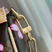 LV Pochette Accessoires Bag - Image 6