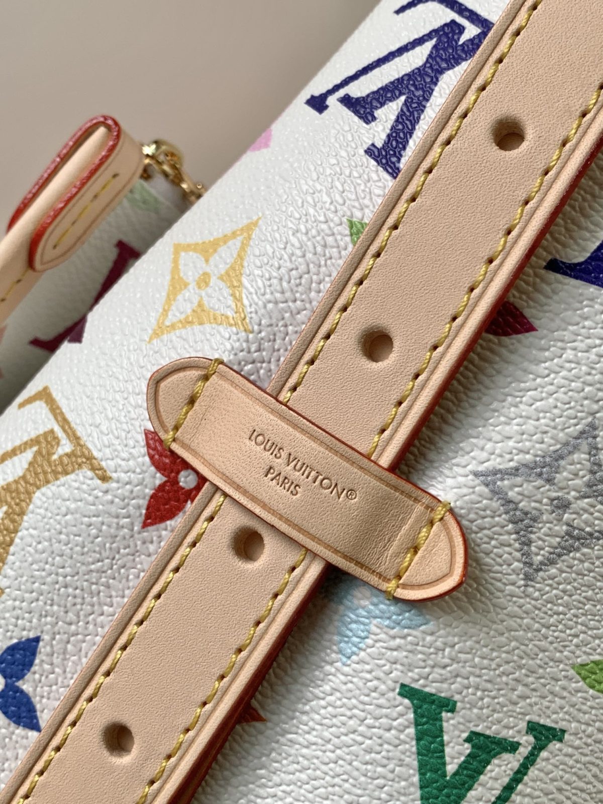LV CarryAll PM Bag - Image 7