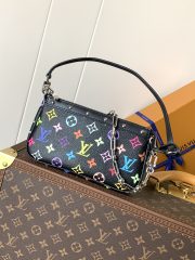 LV Pochette Accessoires Bag