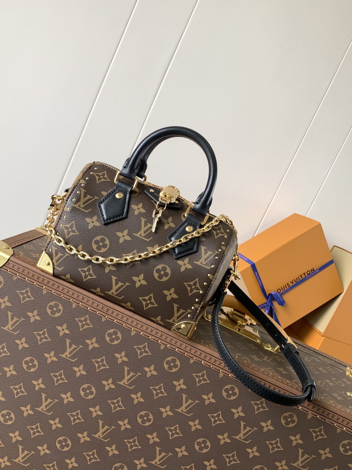 LV Speedy Trunk  Bag - Image 1