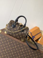 LV Speedy Trunk  Bag