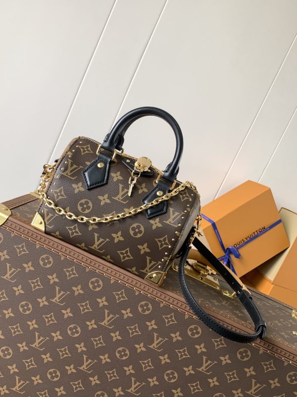 LV Speedy Trunk  Bag