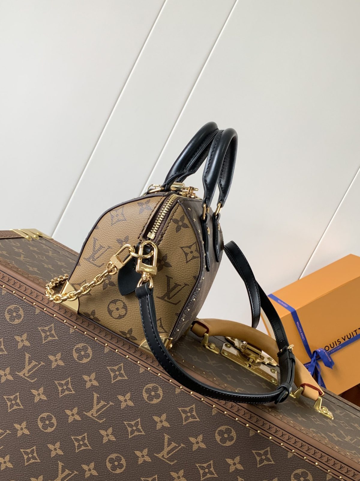 LV Speedy Trunk  Bag - Image 4