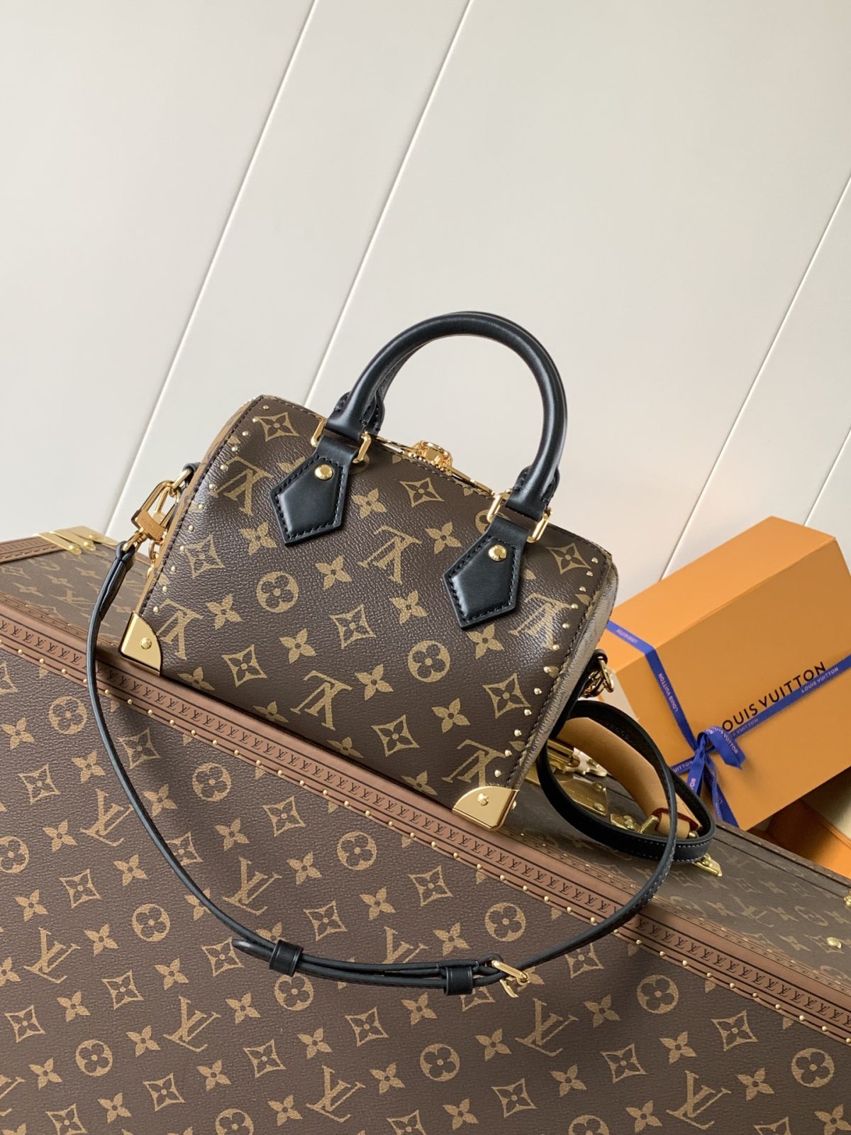 LV Speedy Trunk  Bag - Image 2