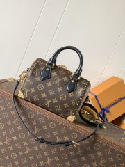 LV Speedy Trunk  Bag - Image 2