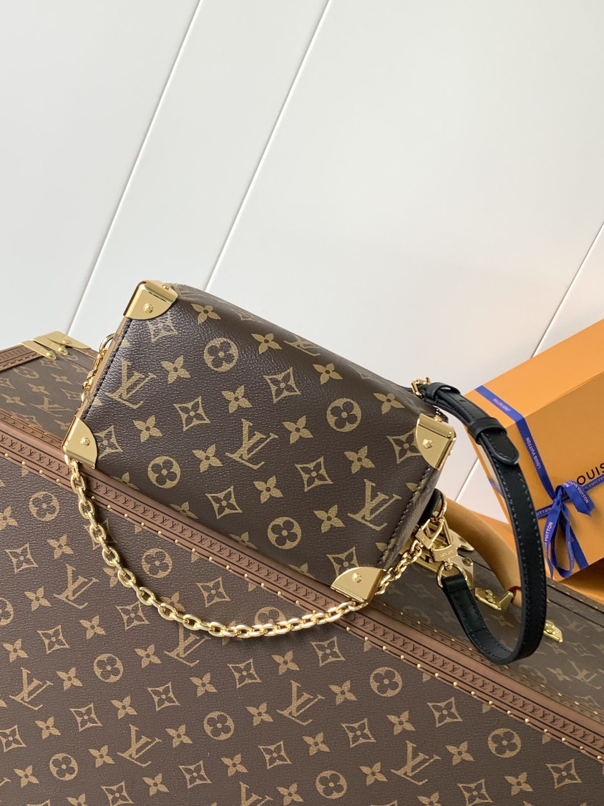 LV Speedy Trunk  Bag - Image 3