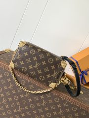 LV Speedy Trunk  Bag - Image 3