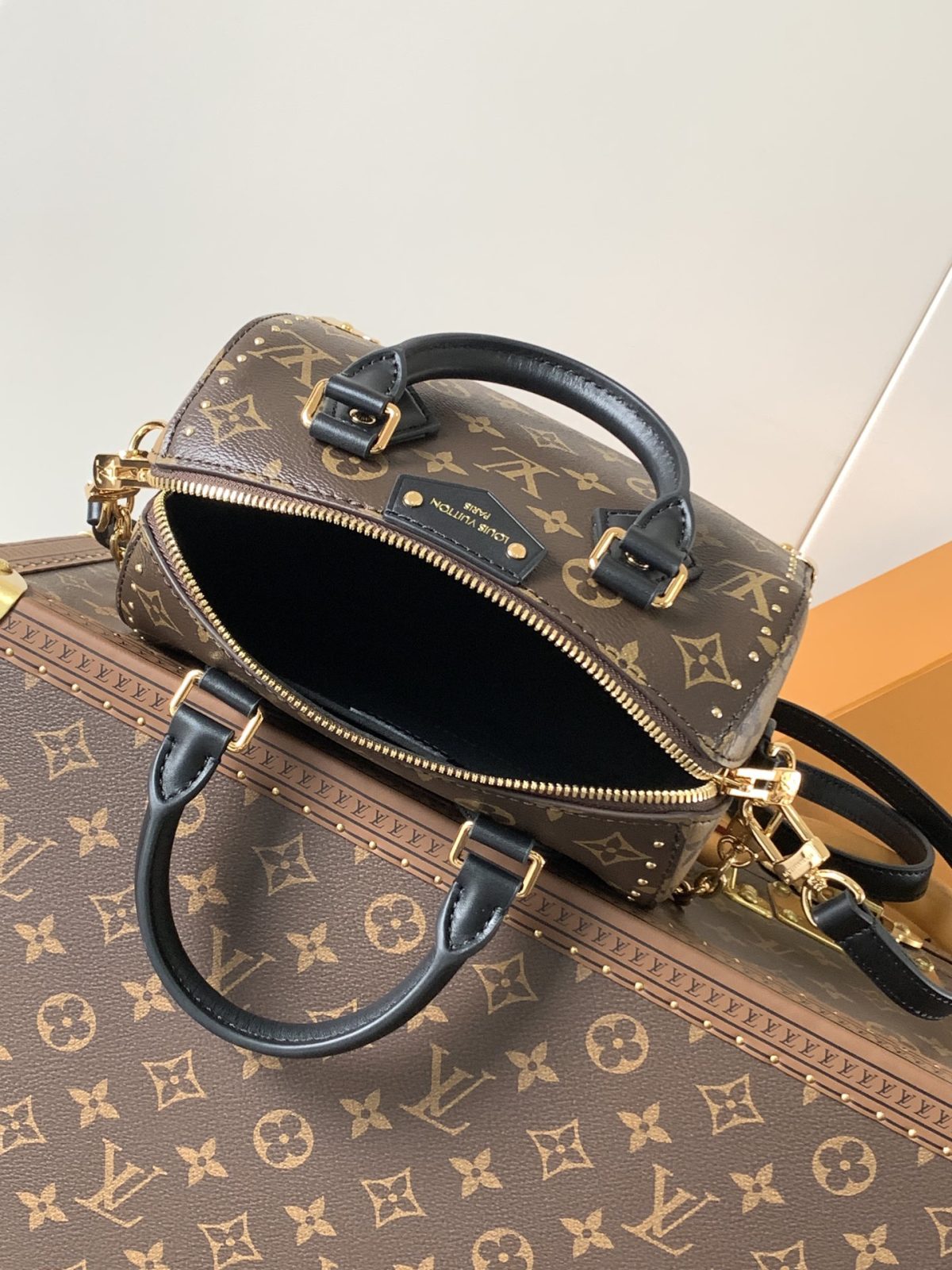 LV Speedy Trunk  Bag - Image 8