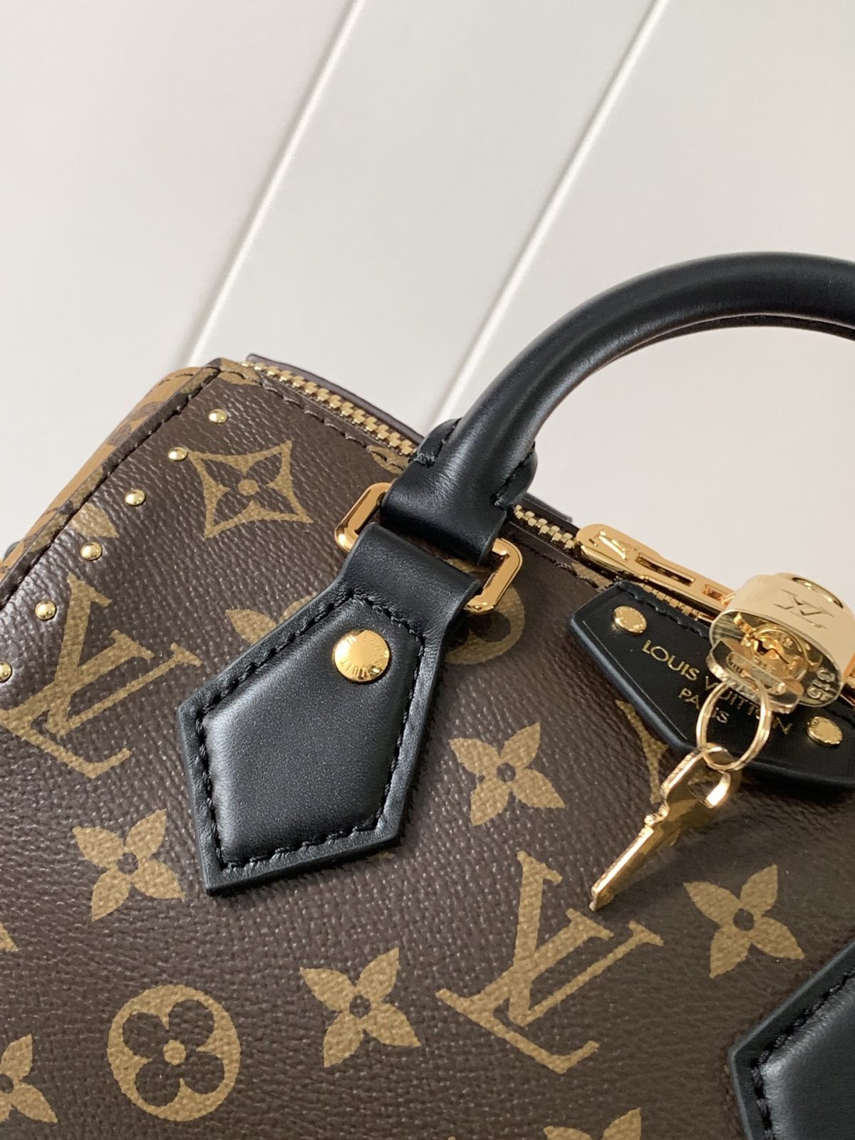 LV Speedy Trunk  Bag - Image 5