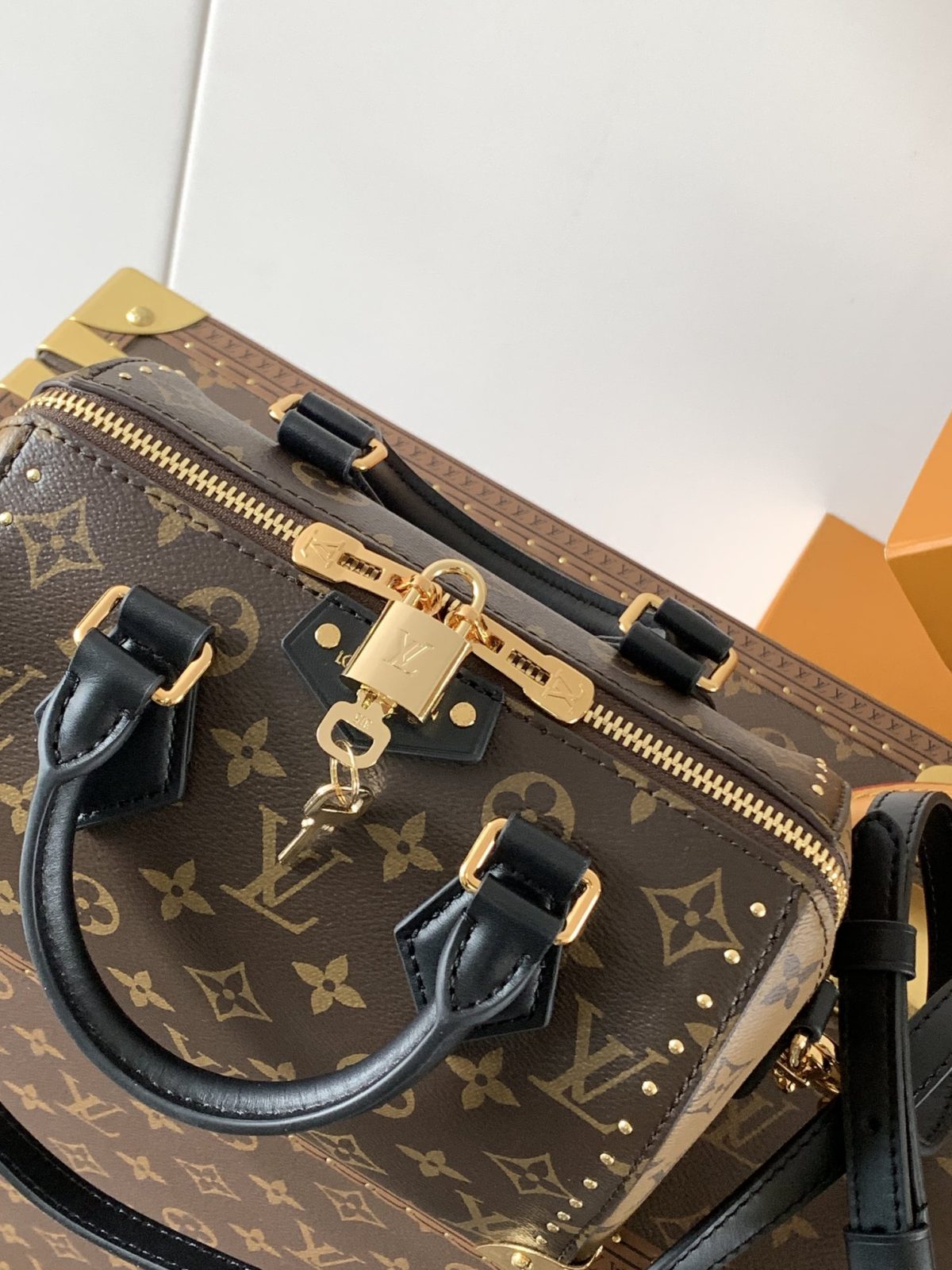 LV Speedy Trunk  Bag - Image 6