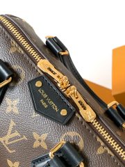 LV Speedy Trunk  Bag - Image 7