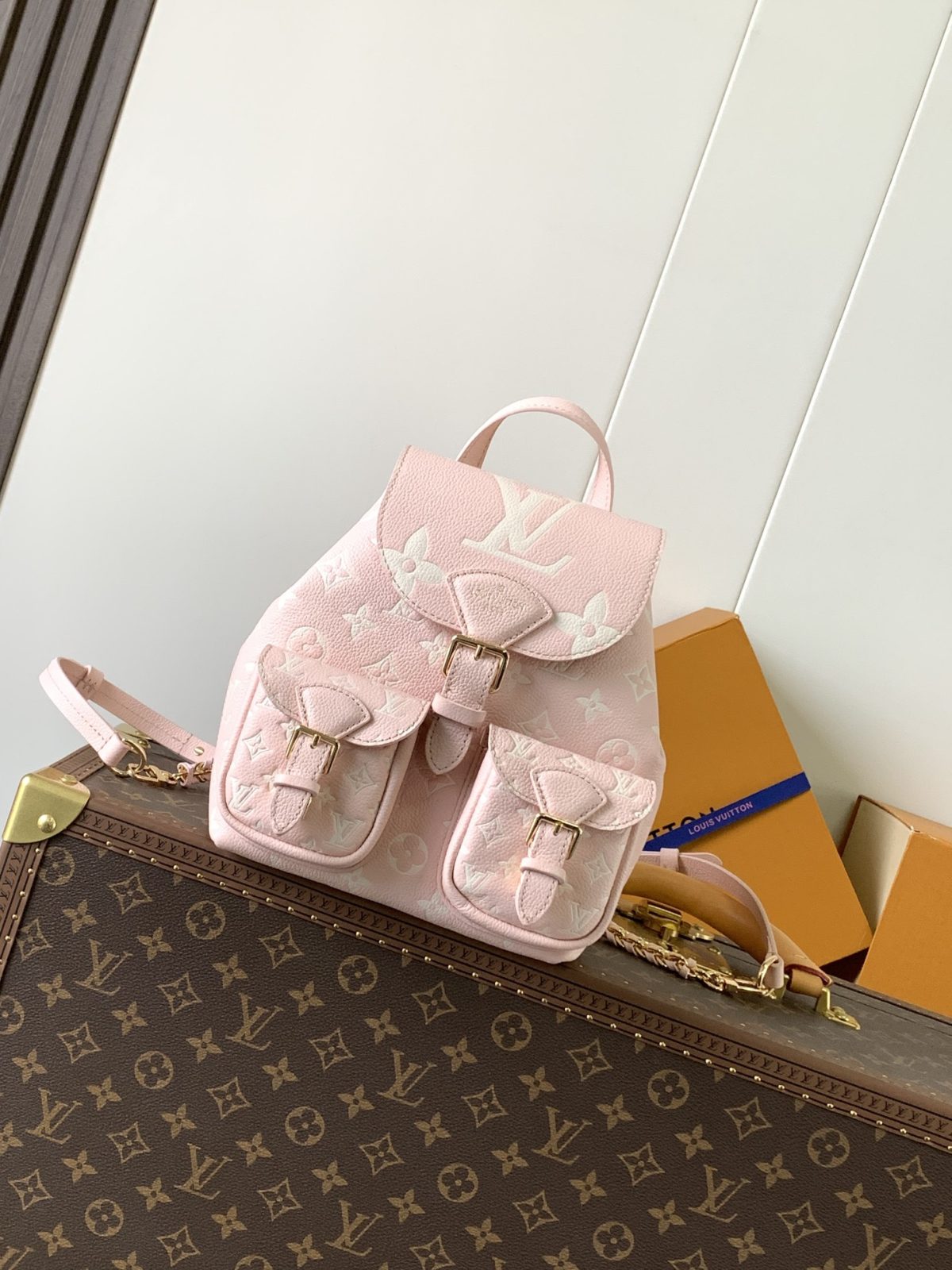 LV Backup Backpack - Image 1