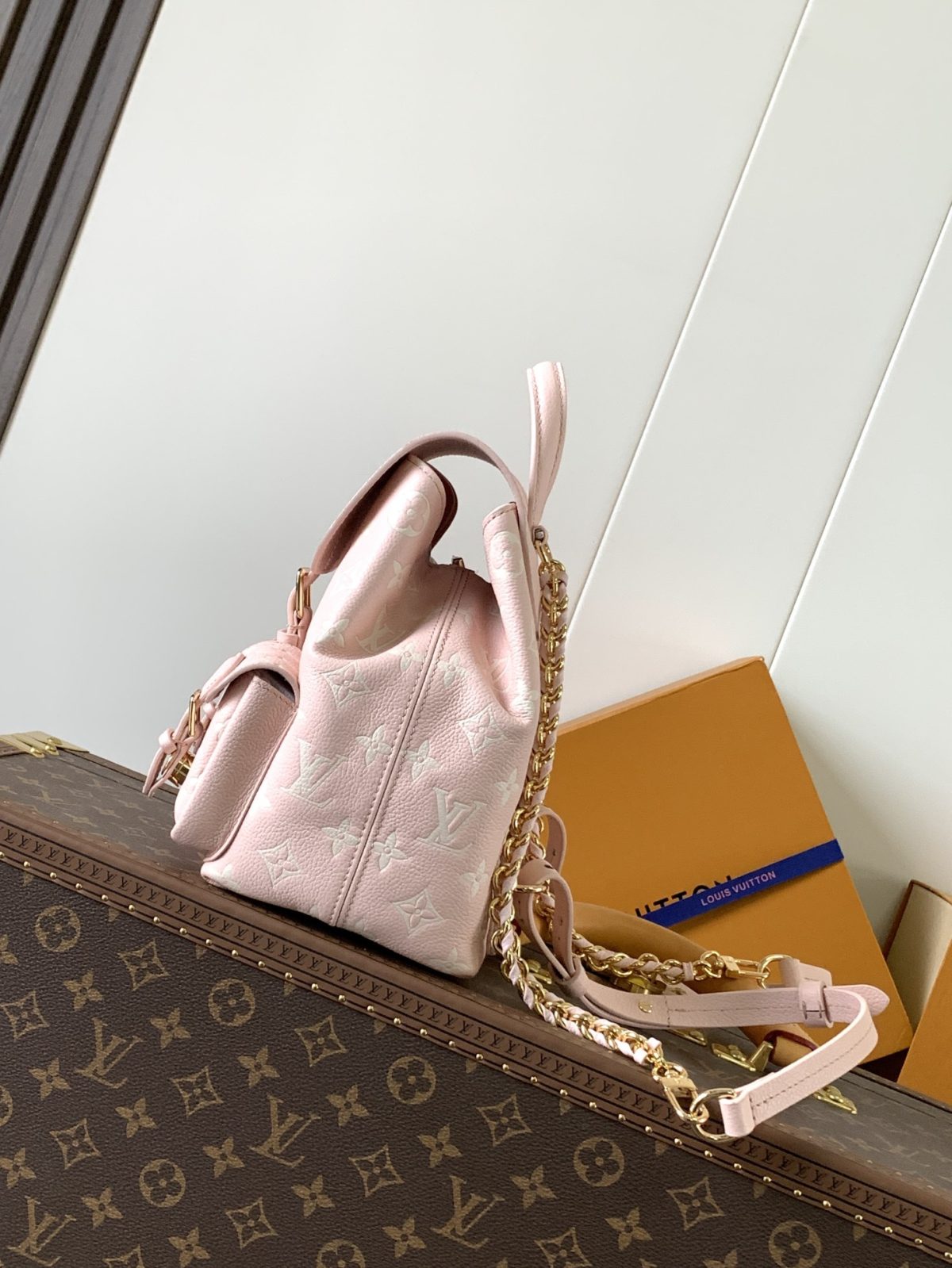 LV Backup Backpack - Image 4