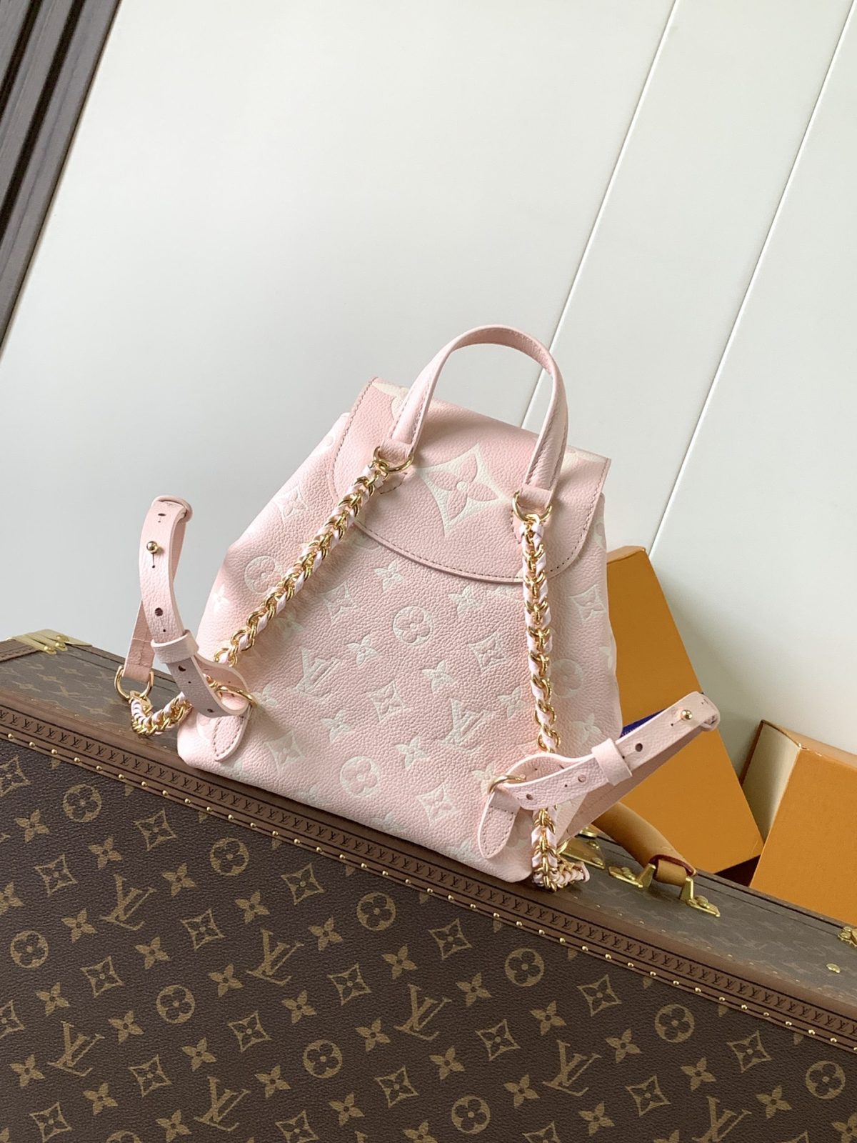 LV Backup Backpack - Image 2