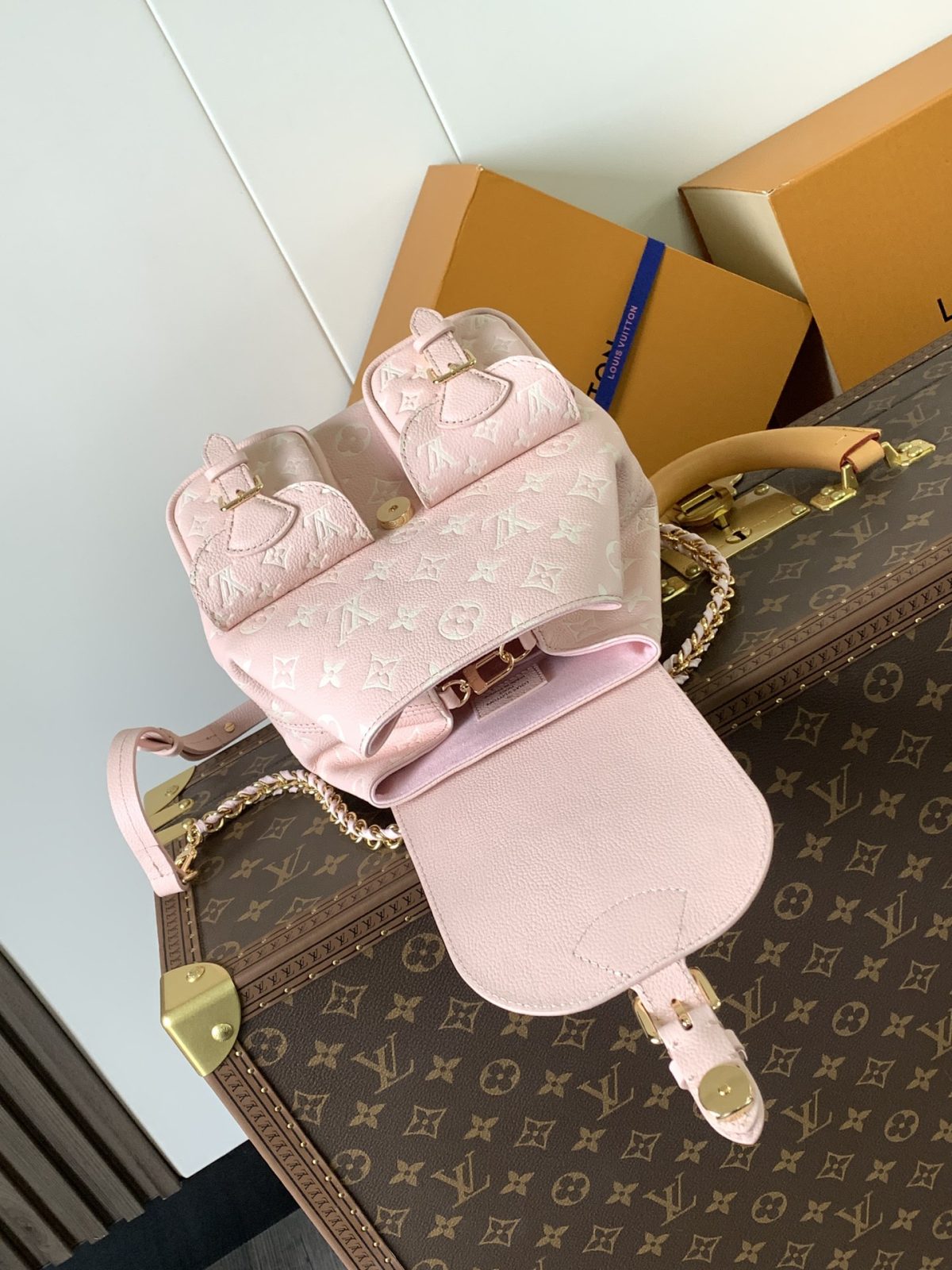 LV Backup Backpack - Image 3