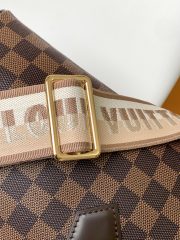 LV Speedy Bandoulière 20 Bag - Image 5