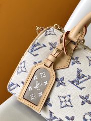 LV Speedy Bandoulière 20 Bag - Image 5