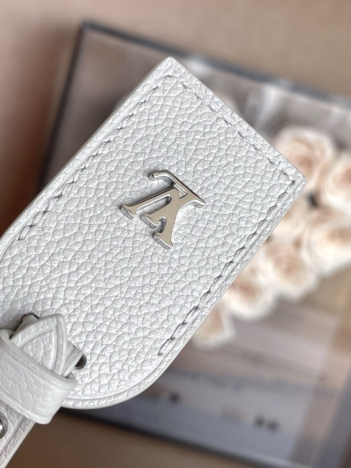 LV CarryAll PM Bag - Image 6