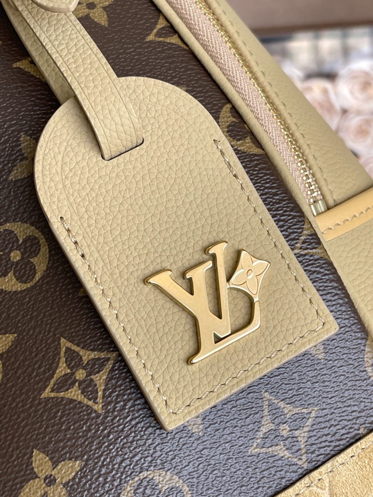 LV Outdoor Backpack - Image 4