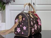 LV x TM Speedy Bandoulière 25 - Image 4