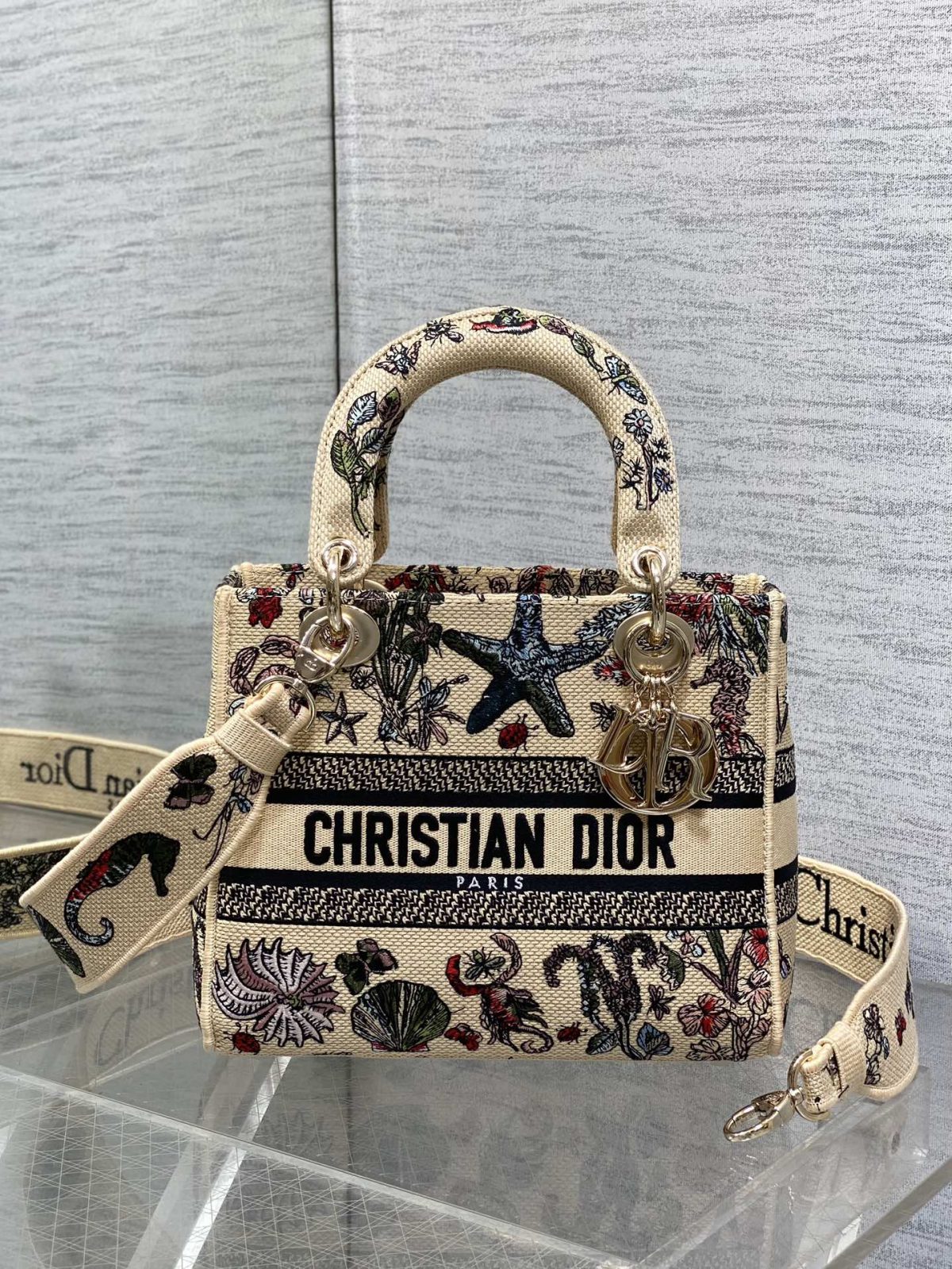 Dior Lady Handbag - Image 1